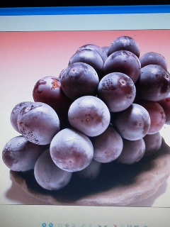 ぶどうの写真